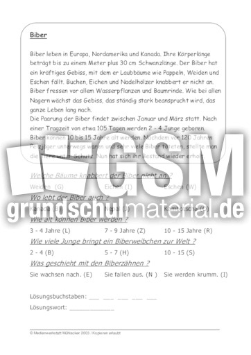 Biber.pdf